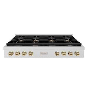 Autograph Edition Paramount 48 in. 8-Burner Porcelain Cooktop in Fingerprint Resistant Steel with Polished Gold Accents