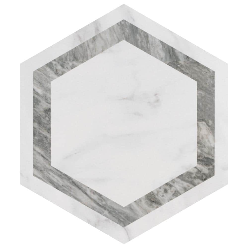 BioTech Hex Venato Deco Grey 11-1/4 in. x 13 in. Porcelain Floor and Wall Take Home Tile Sample price history on PriceWatchPro