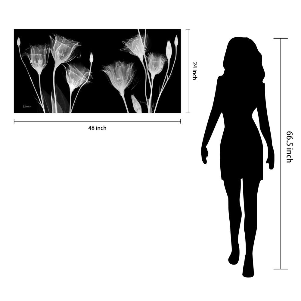 Gentian X-Ray Black and White Tempered Glass Wall Art, 24" x 48"