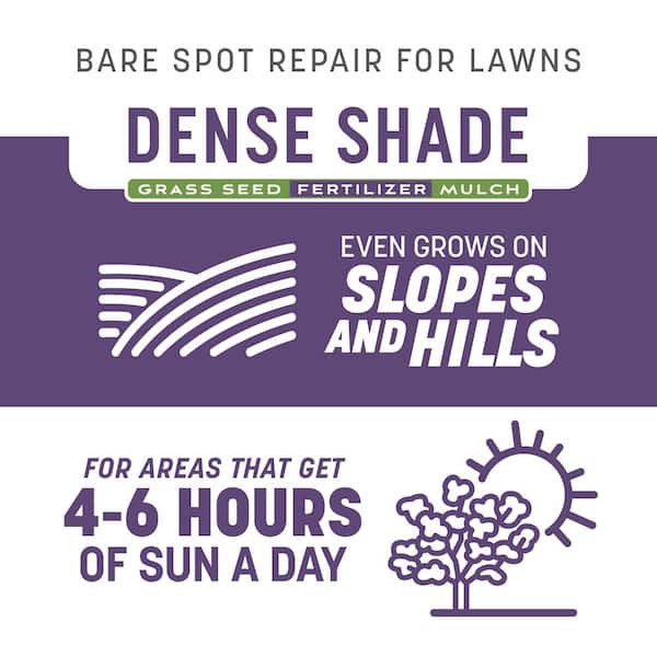 Smart Patch Dense Shade 10 lb. 200 sq. ft. Grass Seed Bare Spot Repair with Mulch and Fertilizer