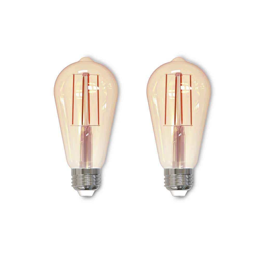 60 - Watt Equivalent ST18 Dimmable Medium Screw Decorative LED Light Bulb A