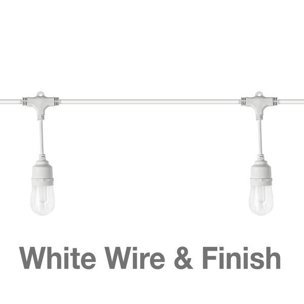 12 Light 24 ft. Outdoor Plug-In Integrated LED White Edison Bulb RGBW Color Changing String Light Powered by Hubspace