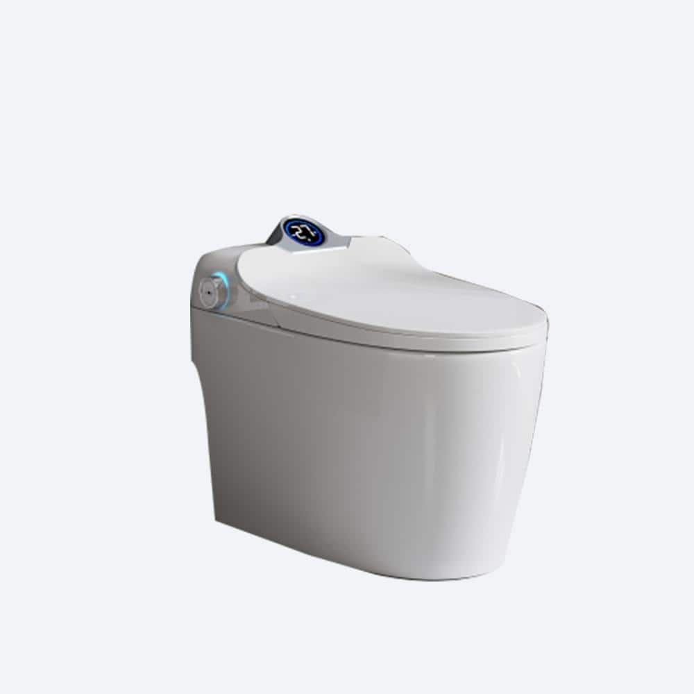 Elongated Smart Bidet Toilet 1.28 GPF in White with Auto Open/Close,Self-Cleaning Nozzle,Heated Seat price history on PriceWatchPro