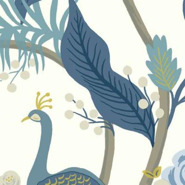 Peacock Wallpaper  Rifle Paper Co