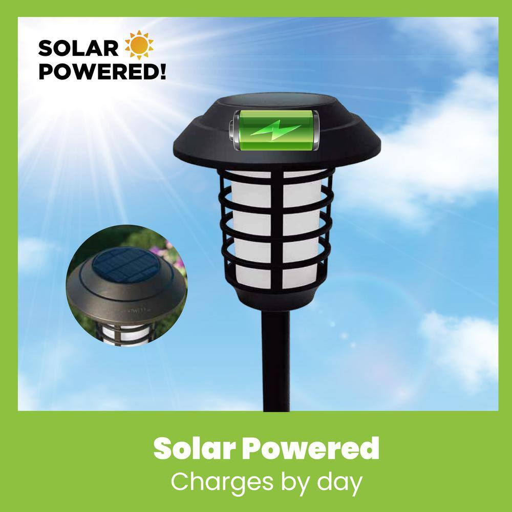 Black Solar LED Pathway Lights with Flickering Flame Effect, 2-Pack