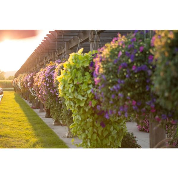 Proven Winners WaterWise Drip Irrigation System
