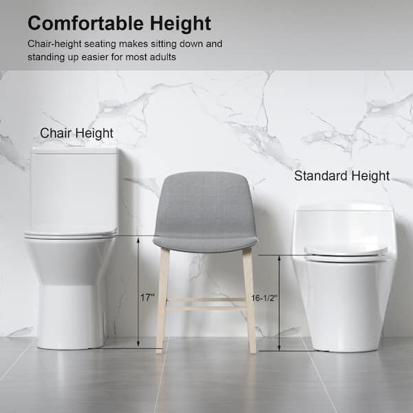 ZXDDMS Rough in 12 in. 1-Piece Toilet 1.1/1.6 GPF Powerful Dual