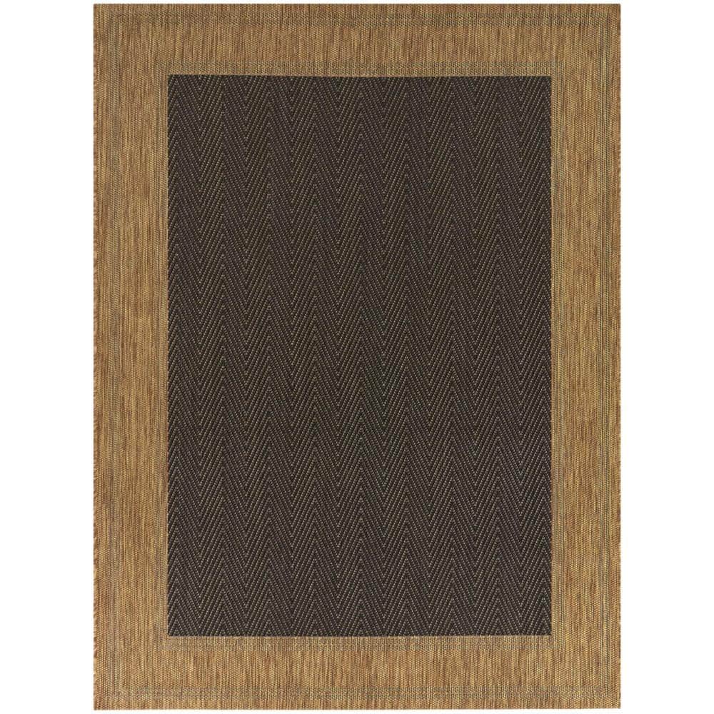 Brown 8 x 10 Border Indoor/Outdoor Area Rug price history on PriceWatchPro