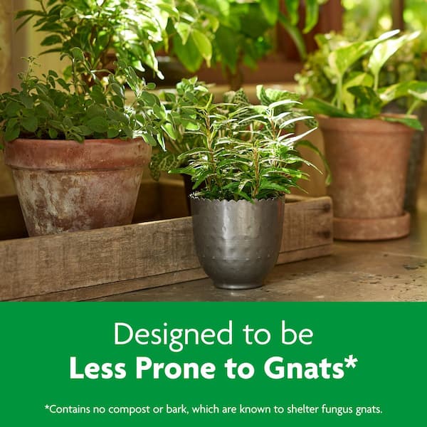 Miracle-Gro - Indoor Potting Mix 16 qt. Blended for a Wide Variety of Houseplants, Feeds up to 6 Months