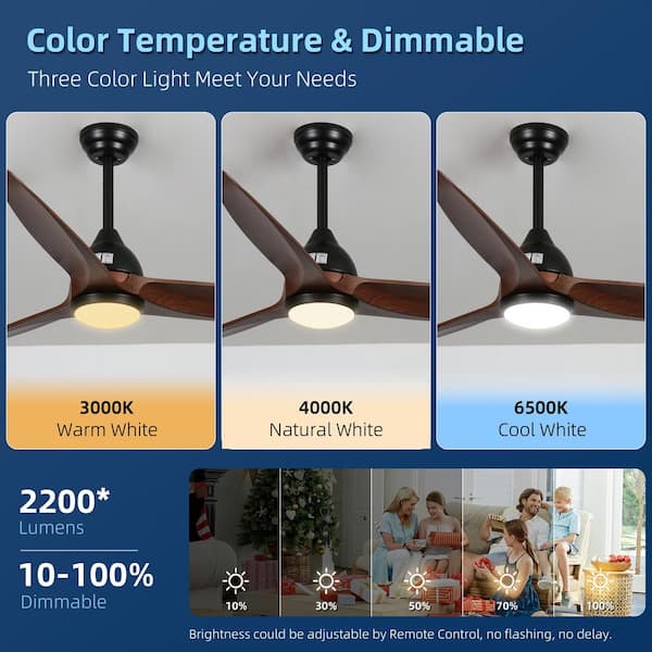 Ohniyou 20'' Enclosed Ceiling Fan with Lights, Bladeless Ceiling Fan with  Light and Remote, Low Profile Ceiling Fan With Dimmable Light,6 