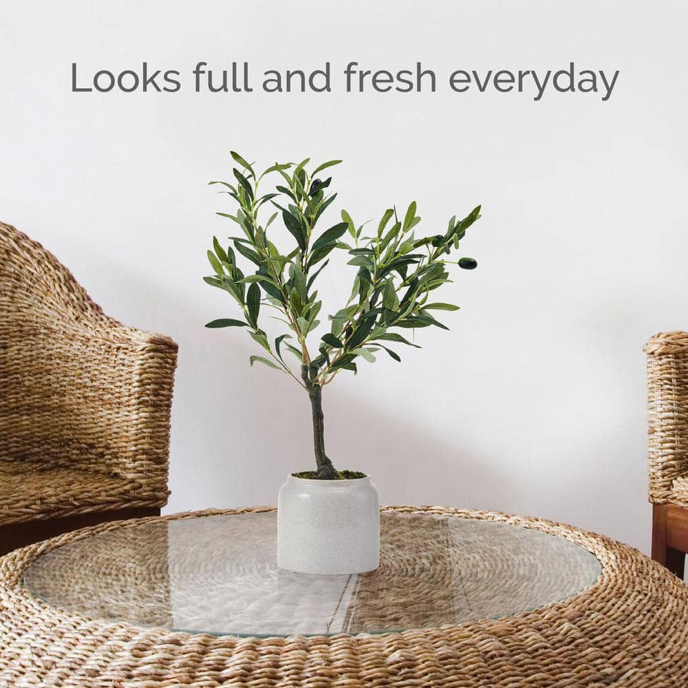 21.5 inch Green Artificial Olive Tree in White Pot