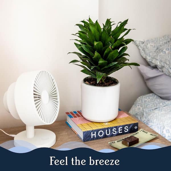 Windmill Smart Whisper-Quiet 8 in. Air Circulator and Desk Fan