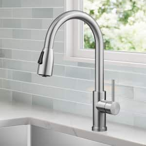 Coda 2-Function Single Handle Pull Down Sprayer Kitchen Faucet in Spot-Free Stainless Steel