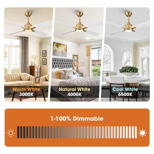 Parrot Uncle 48 in. Indoor Integrated LED Gold Ceiling Fan with