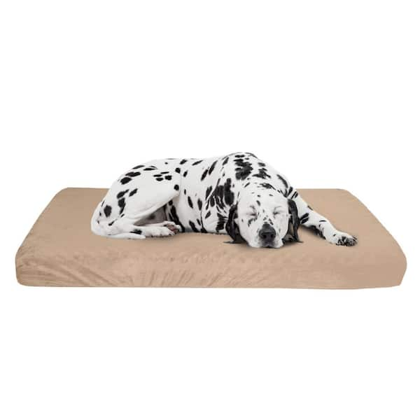 Orthopedic dog beds 2024 with memory foam