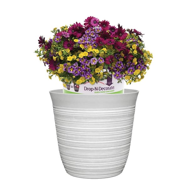 CHG CLASSIC HOME & GARDEN Havana 10 in. Blanc de Blanc Resin Planter Fits 10 in. Drop-N-Decorate Plant