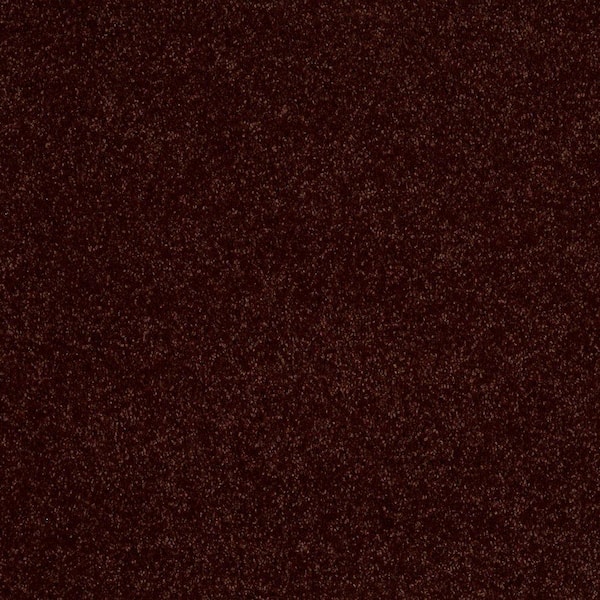 Home Decorators Collection Carpet Sample - Cressbrook III - In Color Cola Brown 8 in. x 8 in.