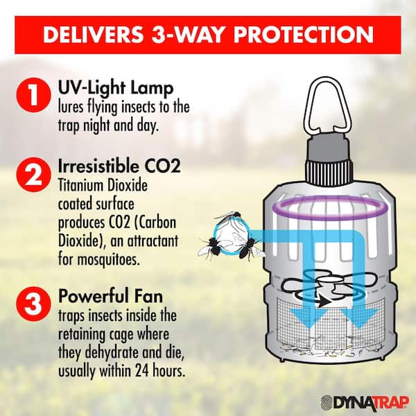 Dynatrap Black AC USB 4X Trapping Power Mosquito & Flying Indoor Insect  Trap