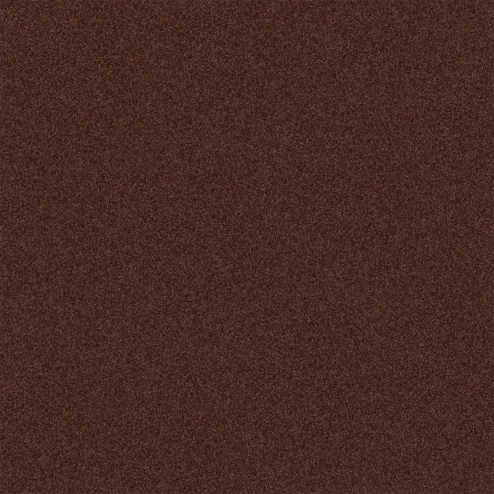 TrafficMaster Watercolors II - Coffee - Brown 38.4 oz. Polyester ...