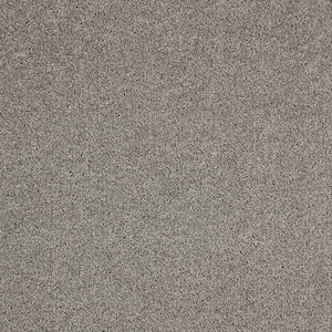 Gemini II - Cannon - Gray 56 oz. Polyester Texture Installed Carpet