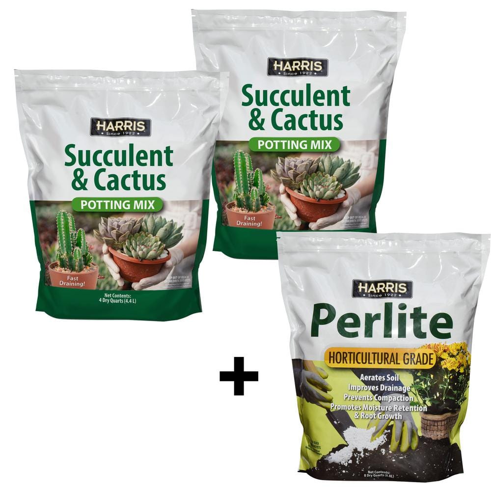 Harris 4qt. Succulent and Cactus Potting Soil Mix (2-Pack) 2SUCCL-4