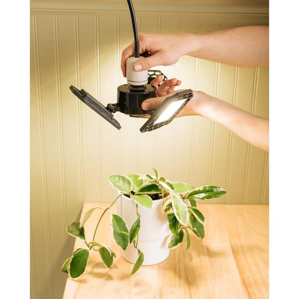 Miracle-Gro 80-Watt 120 PPF Wing Full Spectrum for Seedlings