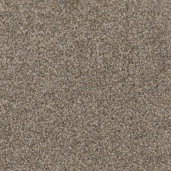 Home Decorators Collection Affectionate II - Hooked - Beige 55 oz. SD Polyester Texture Carpet - Installation Required