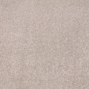 Silver Mane II  - Doric Cream - Brown 65 oz. Triexta Texture Installed Carpet
