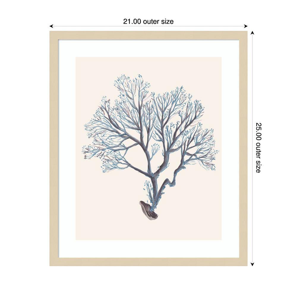 Tweet Tweet II Natural Framed Abstract Bird Print