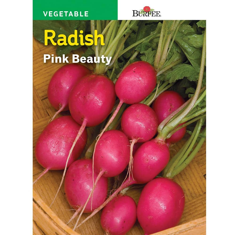Burpee Radish Pink Beauty Seed 52349 - The Home Depot