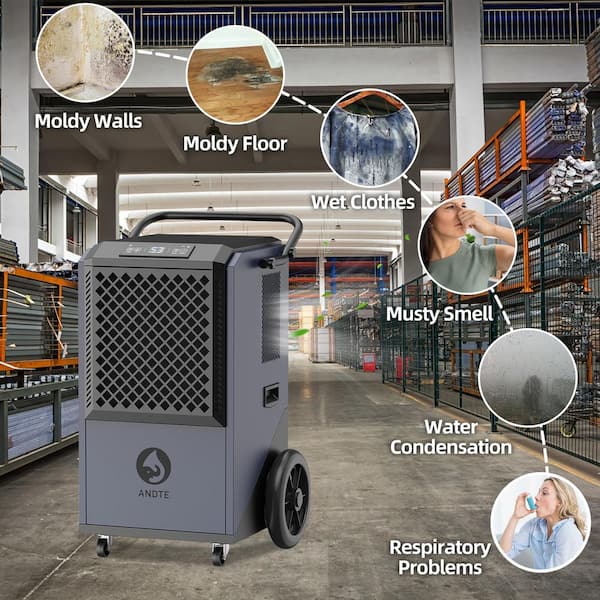 Edendirect 305 pt. 9,000 sq. ft. Commercial Dehumidifier in