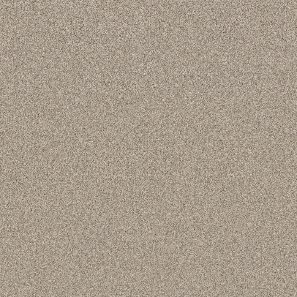 8 in. x 8 in. Texture Carpet Sample - Coastal Charm II -Color Tawny price history on PriceWatchPro
