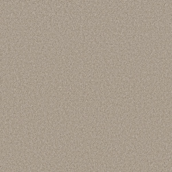 Lifeproof 8 in. x 8 in. Texture Carpet Sample - Coastal Charm II -Color Tawny