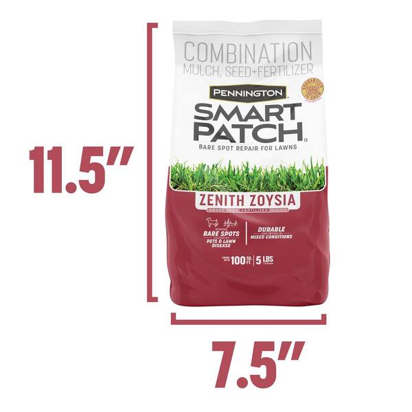 Home Depot Zoysia Seed