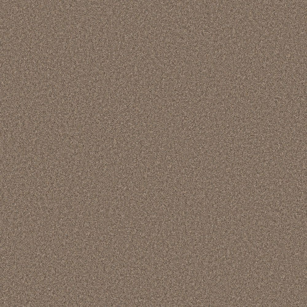 8 in. x 8 in. Texture Carpet Sample - Sculpture Soft I - Color Timber price history on PriceWatchPro