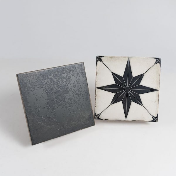 Apollo Tile Faenza 8 in. x 8 in. Matte White Black Porcelain