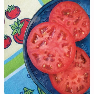 1.19 qt. Red Beefsteak Heirloom Tomato Plant (6-Pack)