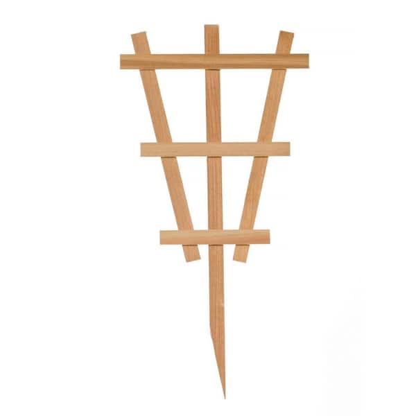 Unbranded 12 in. W x 24 in. H Wood Mini Fan Trellis