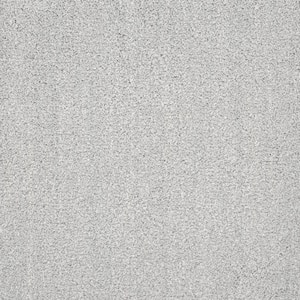 Fluffy Expectations - Heavenly - Gray 56.2 oz. Nylon Texture Installed Carpet