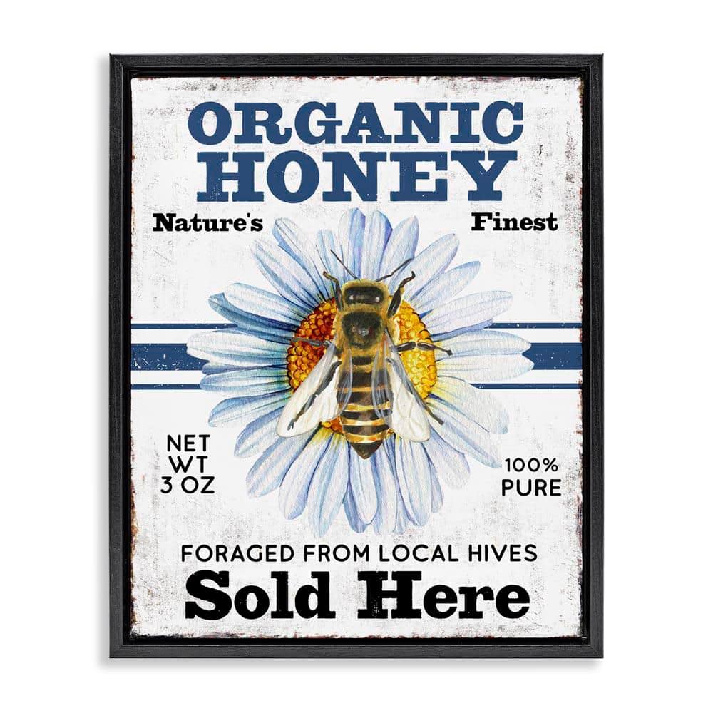 Organic Honey Sold Here by Creatif Belle Black Floater Frame Animal Graphic Art Print 31 in. x 25 in. price history on PriceWatchPro