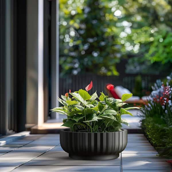 21 in. Large Charcoal Black Concrete Round Planter / Pot with Drainage Holes
