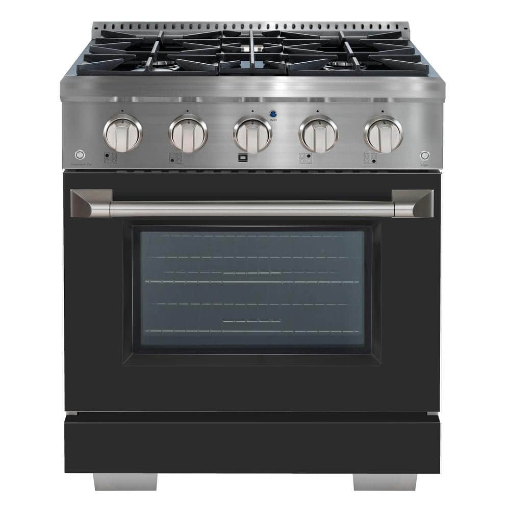 "30"" 4.2 cu. ft. Dual Fuel Range with Gas Stove and Electric Oven with 4 Burners in. Stainless Steel with Black Door" price history on PriceWatchPro