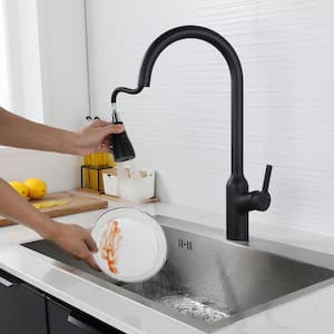 Single Handle Pull Down Sprayer Kitchen Faucet, Kitchen Sink Faucet with Pull Out Sprayer in Matte Black