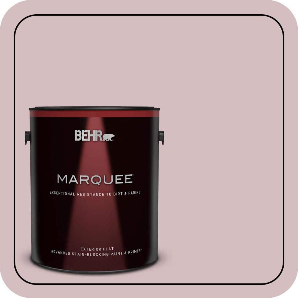 1 gal. #PPU17-09 Embroidery Flat Exterior Paint & Primer price history on PriceWatchPro