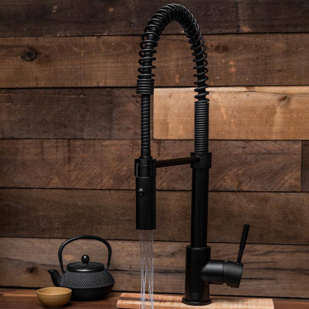 Matte Black Brass Kitchen Faucet with Pull-out Spray