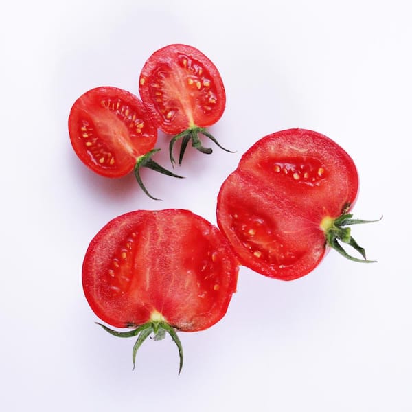 https://images.thdstatic.com/productImages/7f88149f-134c-4f1a-b86a-f0745d24340c/svn/proven-winners-tomatoes-zzrtom101zr04-1f_600.jpg