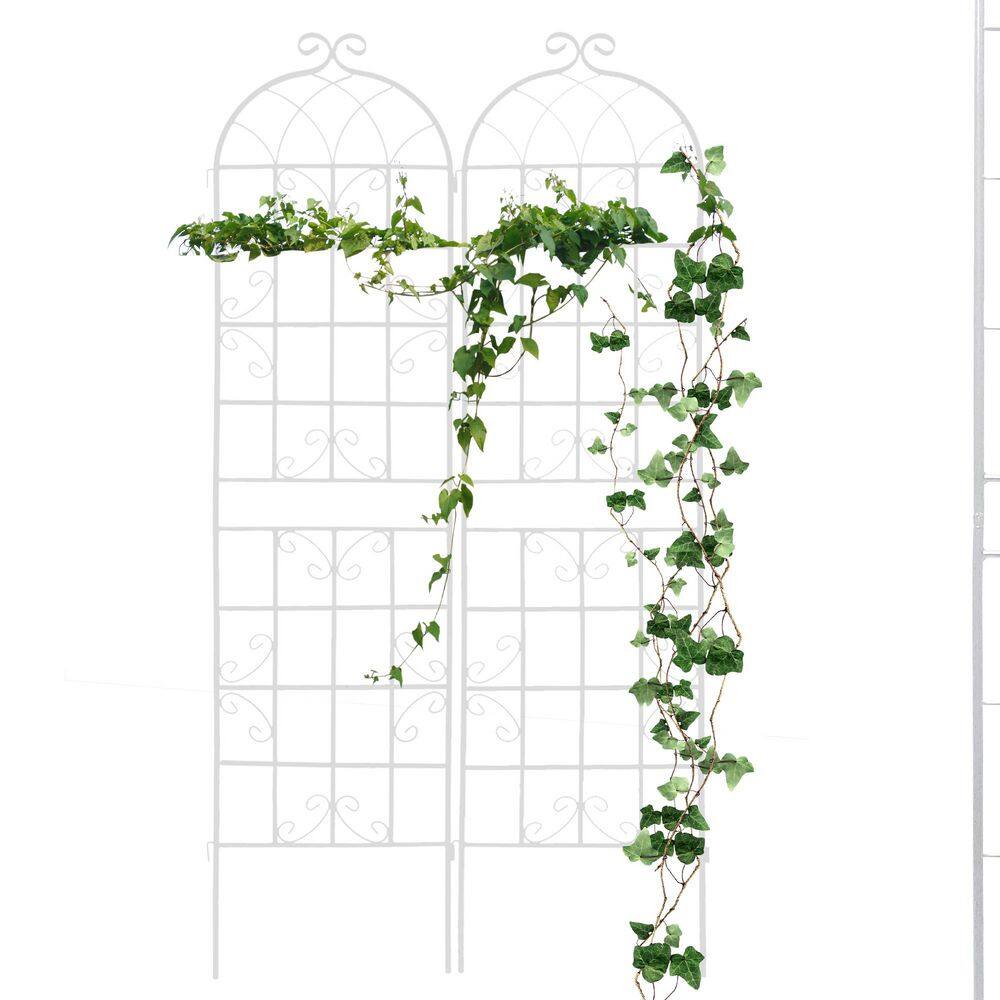 Metal Garden Trellis, 19.7"L x 86.7"H for Vines Plant Rose Vegetable Support, Decorative Outdoor Trellis (Black, 2 Pack)