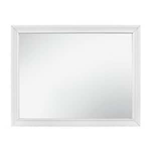 37 in. W x 47 in. H Wooden Frame White and Silver Wall Mirror