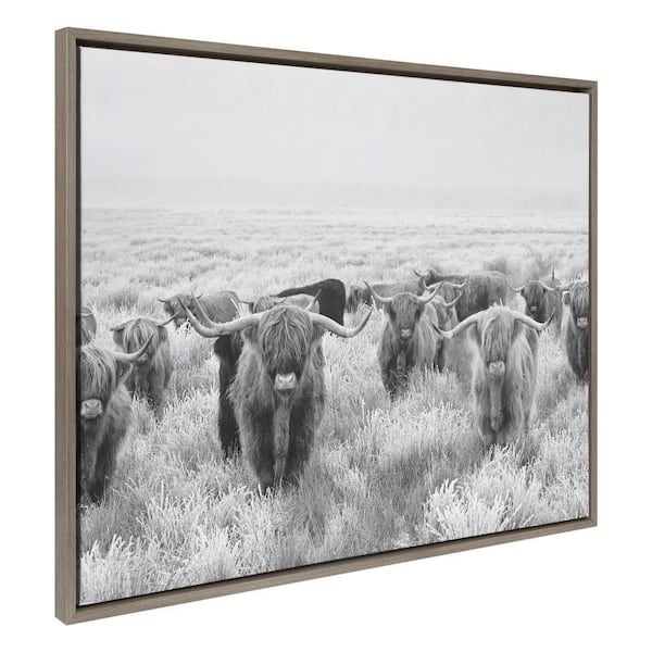 Kate and Laurel Sylvie Herd of Highland Cows Black and White by The Creative Bunch Studio Framed Art Print 31 in. x 42 in.