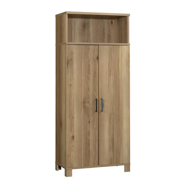 Furniture · Storage Cabinets & Shelves